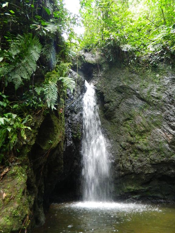 Pensión Sierra Morena Eco Filandia