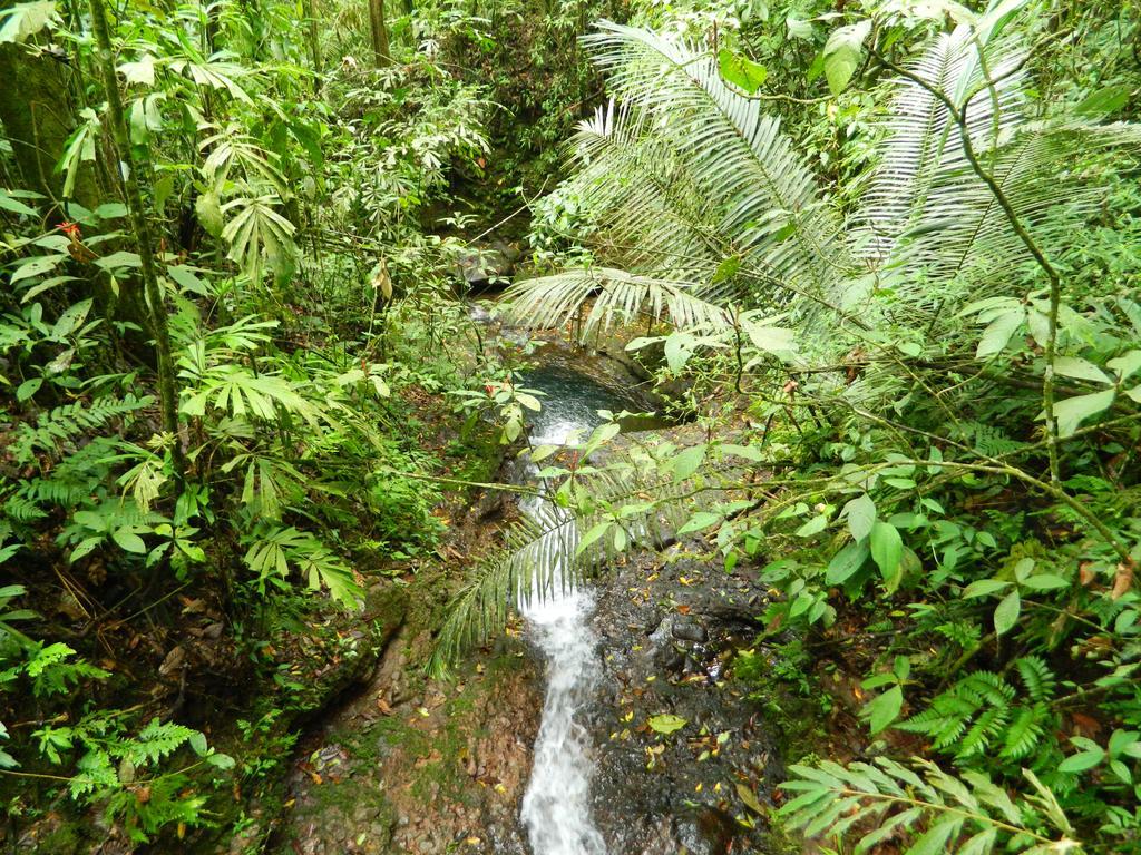 Pensión Sierra Morena Eco *