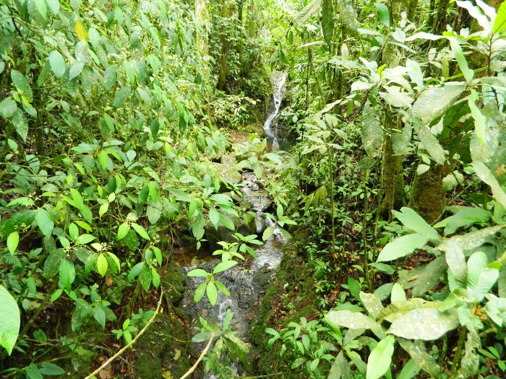 Pensión Sierra Morena Eco