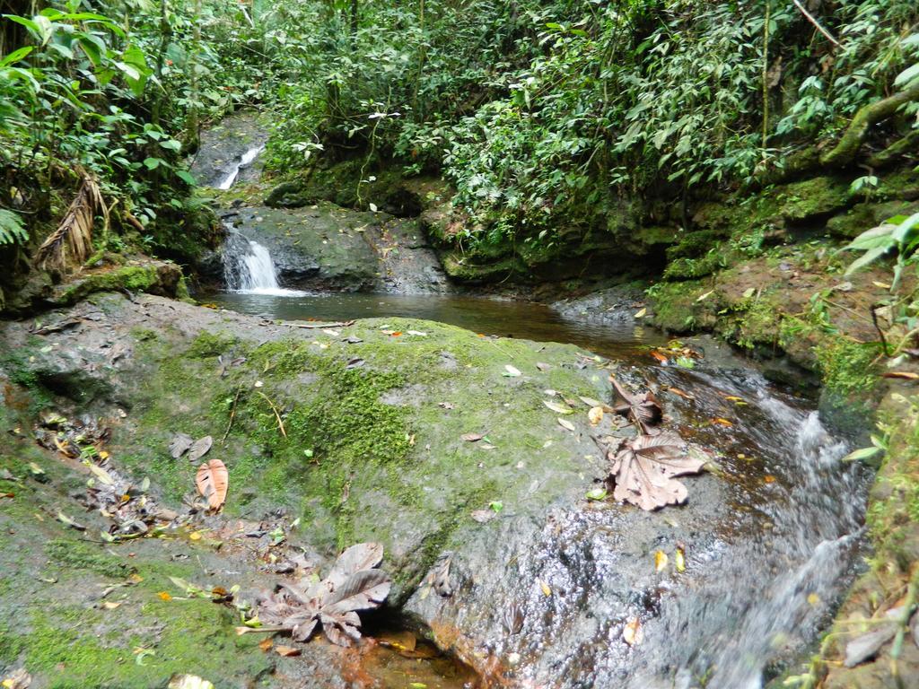 Pensión Sierra Morena Eco
