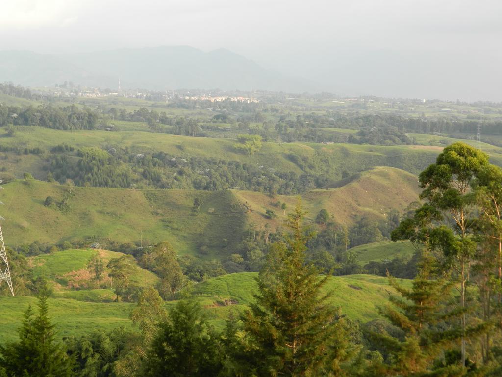 Sierra Morena